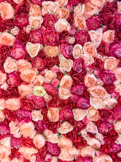 La Rose