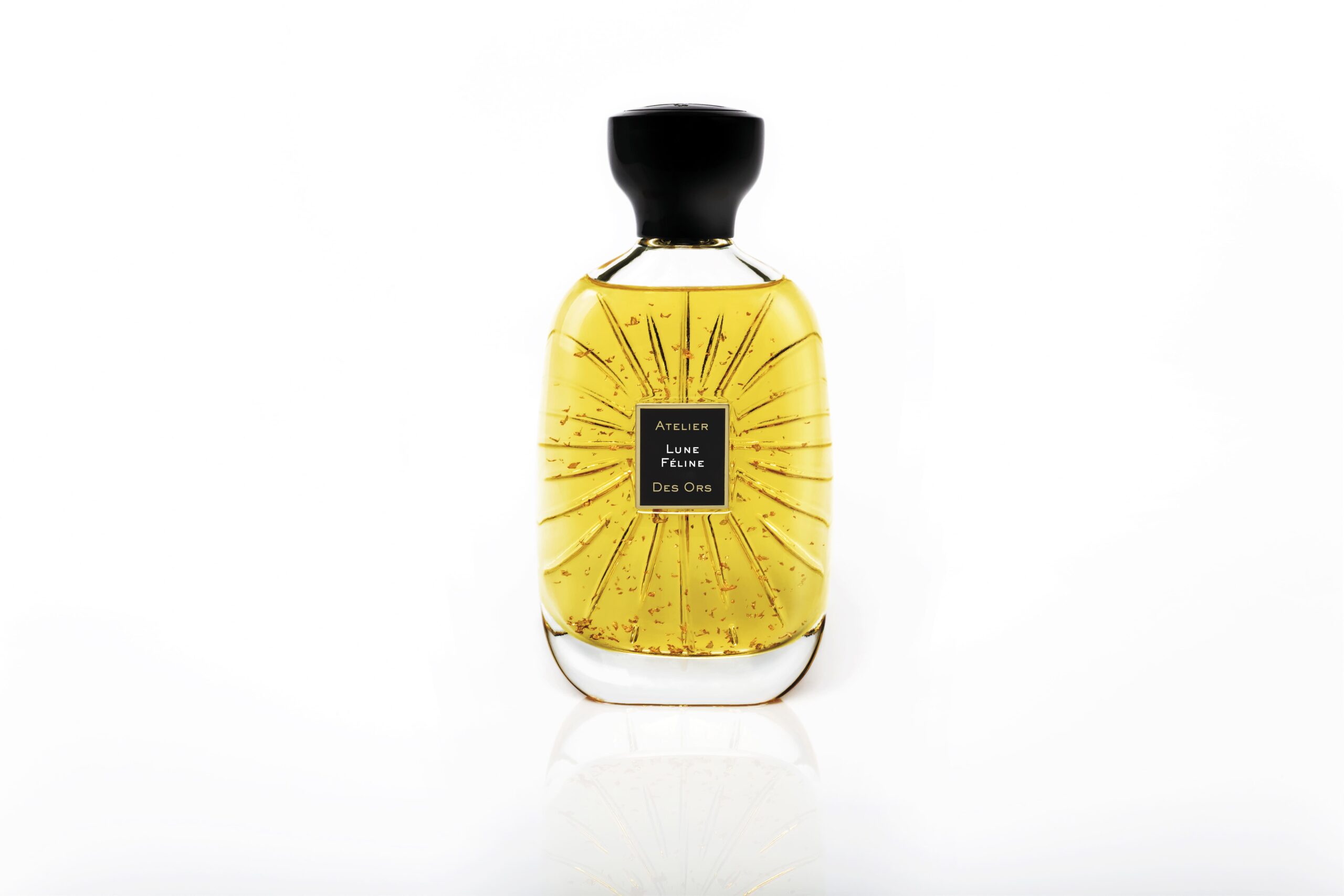 1_Packshot Lune Féline